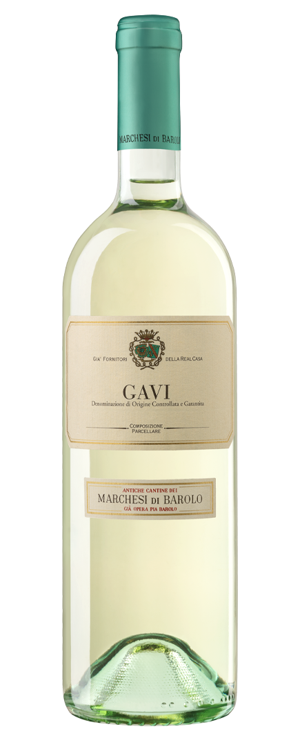 Valge vein Gavi DOCG 2022, 12,5%, MARCHESI DI BAROLO, 75 cl
