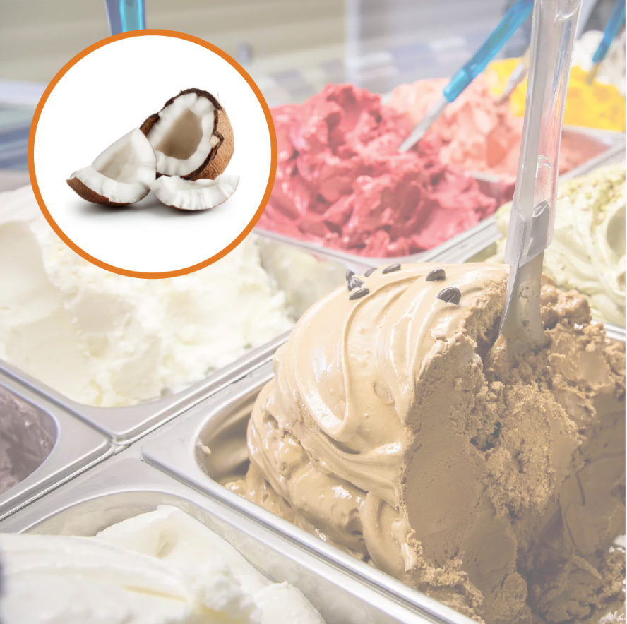 Kookose jäätis, DA VINCI FOOD, ca 3,5 kg